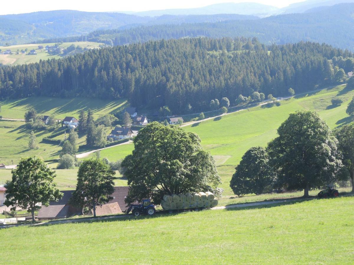 Ferienwohnung Saig Lenzkirch Bagian luar foto
